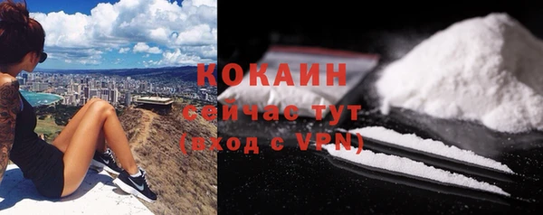 ПСИЛОЦИБИНОВЫЕ ГРИБЫ Осташков