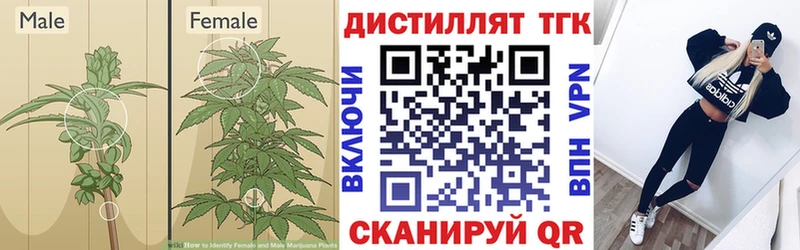 Дистиллят ТГК THC oil  где можно купить наркотик  Спасск-Рязанский 