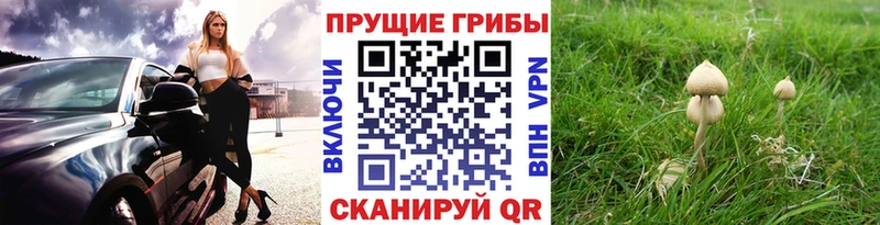 Галлюциногенные грибы MAGIC MUSHROOMS  Спасск-Рязанский 